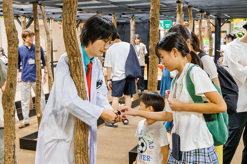 東京ジョイポリス＆イベント会場「カブト・クワガタふれあいの森」（東京都/港区）
