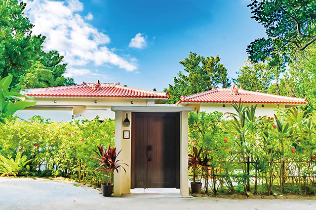 フクギテラス(沖縄県/本部町)