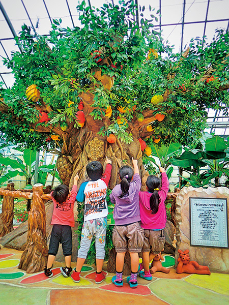 「すべてのフルーツがなる木」/OKINAWAフルーツらんど（沖縄県／名護市）