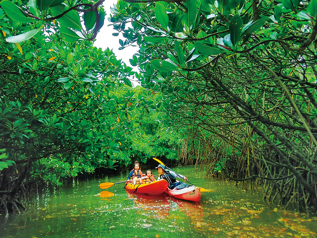 マングローブカヌー（沖縄県）