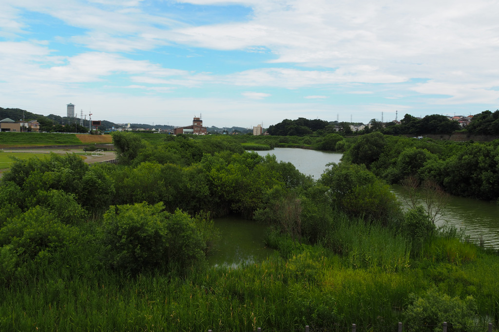 境川遊水地公園(神奈川県/横浜市)