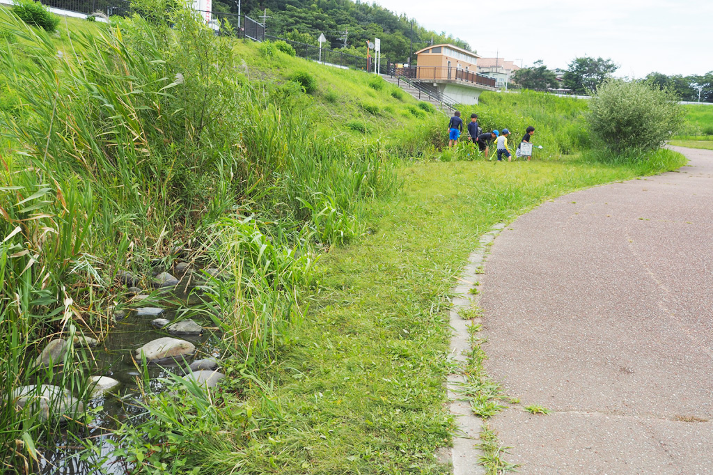 水路/境川遊水地公園(神奈川県/横浜市)