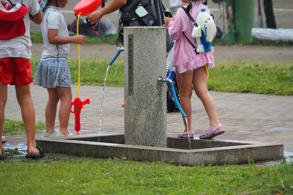 噴水の近くの水場/境川遊水地公園(神奈川県/横浜市)
