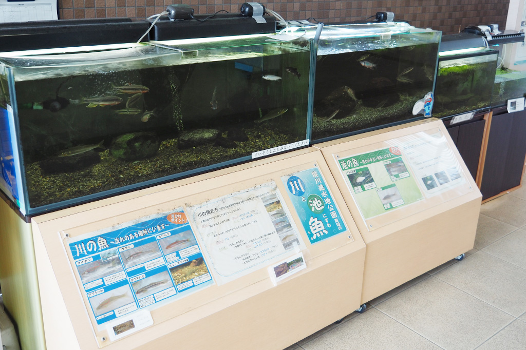 境川遊水地情報センター/境川遊水地公園(神奈川県/横浜市)