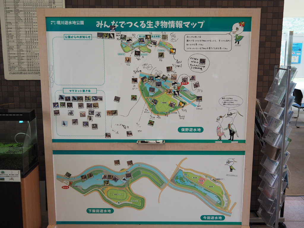 みんなでつくる生き物情報マップ/境川遊水地公園(神奈川県/横浜市)