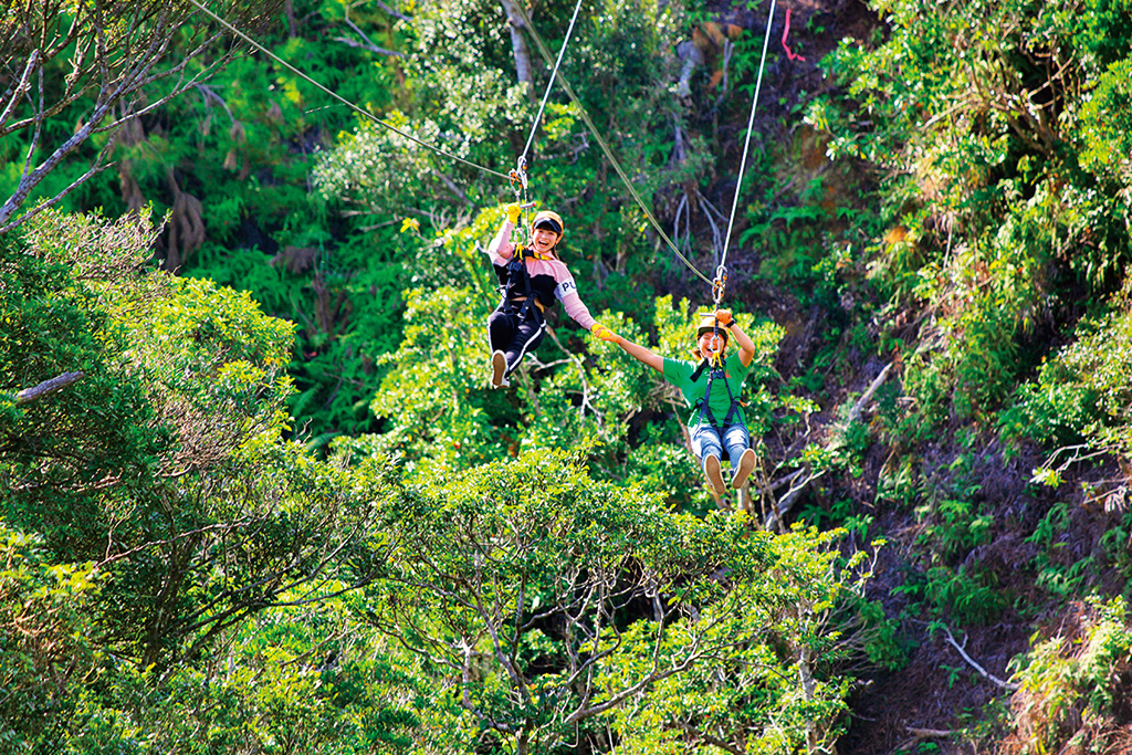 やんばるアドベンチャーフィールド＠又吉コーヒー園（沖縄県／東村）