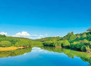 【沖縄北部】子連れで楽しいおすすめドライブコース!大自然の絶景を満喫しよう