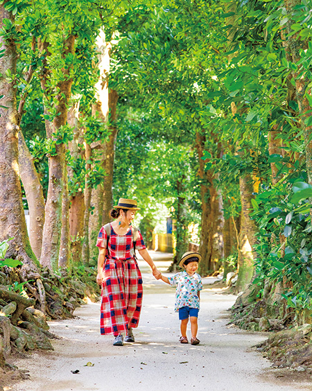 備瀬のフクギ並木（沖縄県／本部町）
