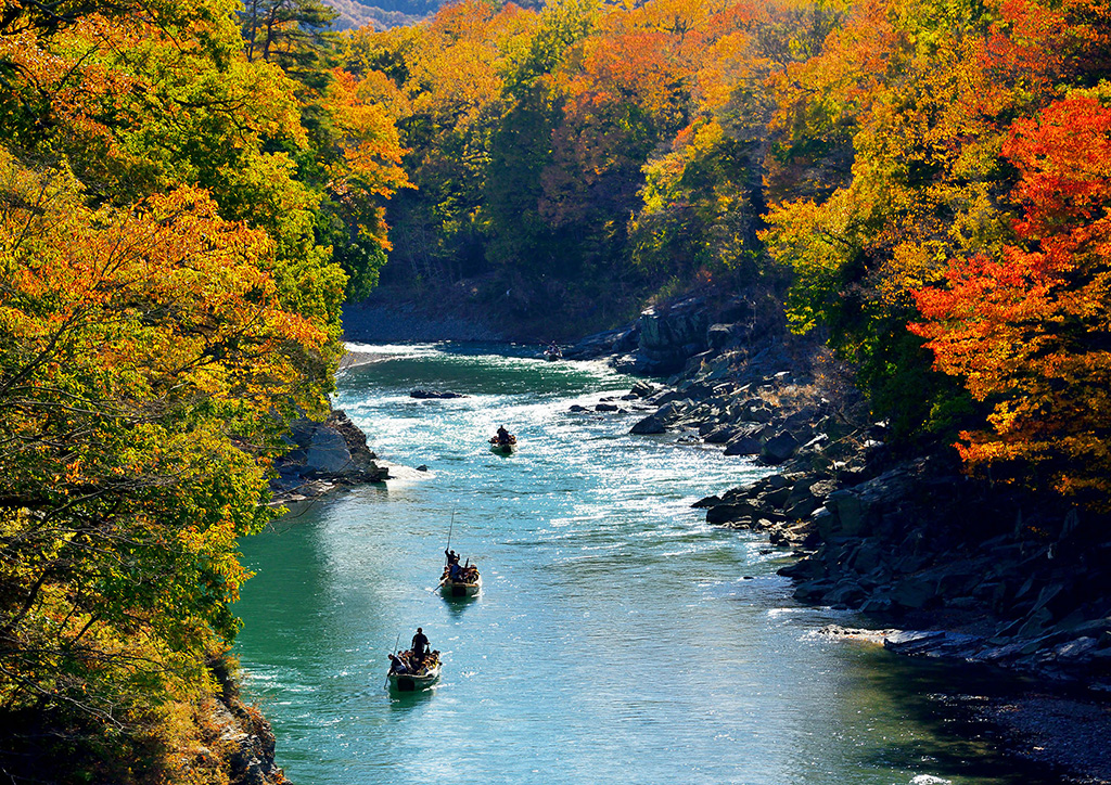 長瀞ラインくだり/長瀞・秩父エリア()埼玉県