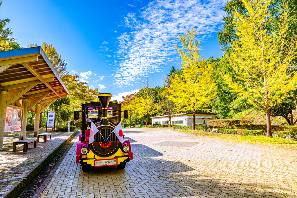 秩父ミューズパーク(埼玉県)
