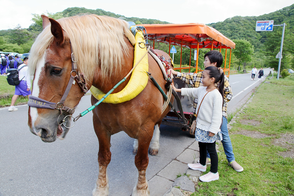 「トテ馬車」/榛名湖(埼玉県/高崎市)