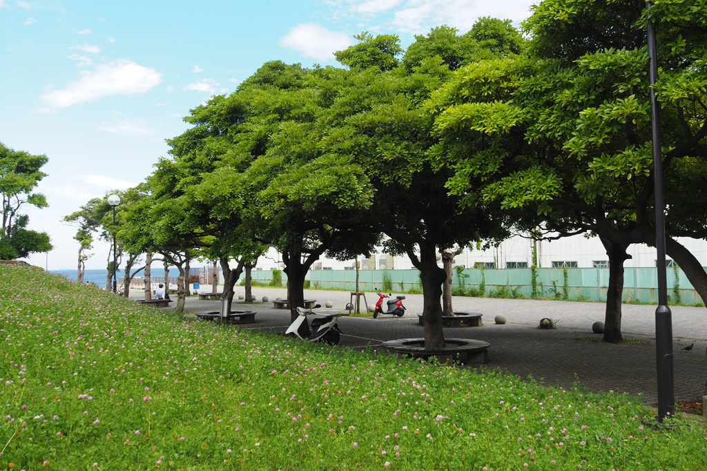 ベンチと木陰もたくさんあります/うみかぜ公園(神奈川県/横須賀市)