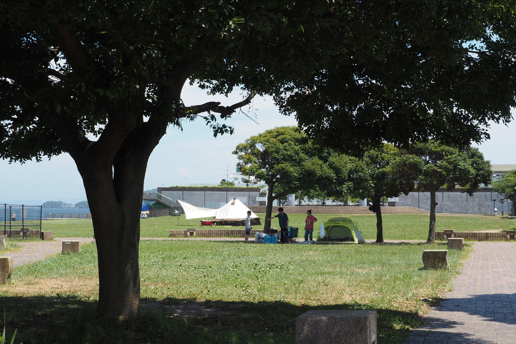 夏の間、木陰のスペースは大人気/うみかぜ公園(神奈川県/横須賀市)