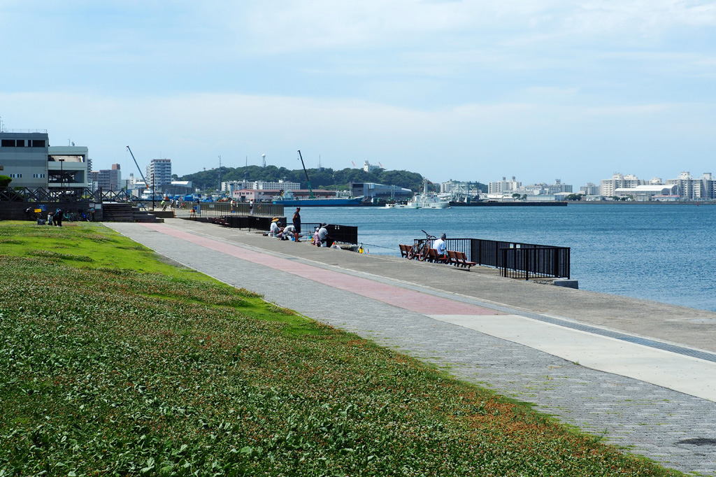平日限定で釣りを楽しむこともできます/うみかぜ公園(神奈川県/横須賀市)