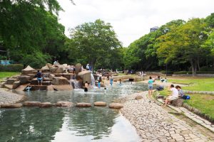 平塚市総合公園の水遊び場や4つの遊具広場で遊ぼう！ふれあい動物園やプールもおすすめ
