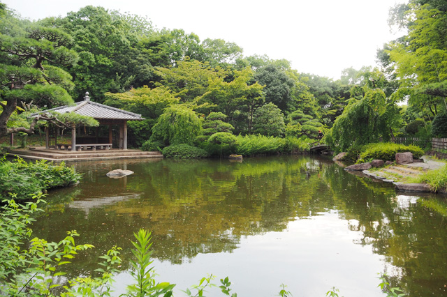 回遊式の日本庭園／平塚市総合公園（神奈川県／平塚市）