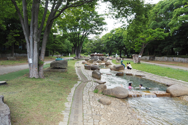 噴水から続く水路は水深浅め／平塚市総合公園（神奈川県／平塚市）