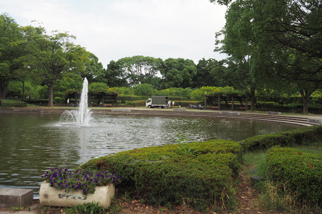 大池／平塚市総合公園（神奈川県／平塚市）