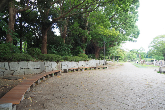 近くの木陰にはベンチも多数用意されている／平塚市総合公園（神奈川県／平塚市）