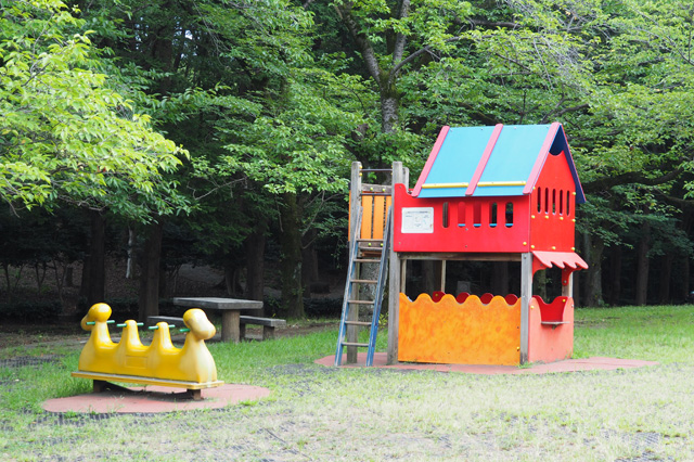 「桜の広場」／平塚市総合公園（神奈川県／平塚市）