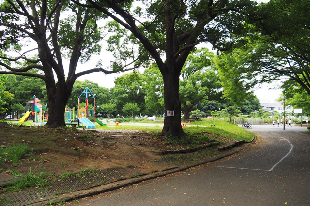 「子供広場」／平塚市総合公園（神奈川県／平塚市）
