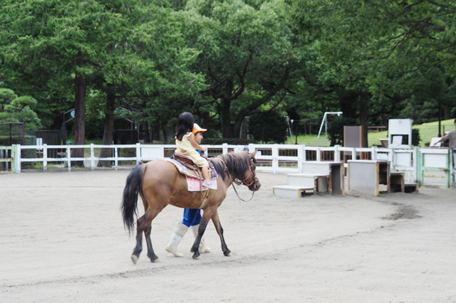唯一有料のポニー乗馬／平塚市総合公園（神奈川県／平塚市）