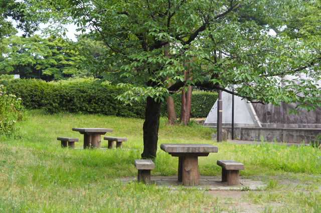 テーブルとベンチも設置されている／平塚市総合公園（神奈川県／平塚市）
