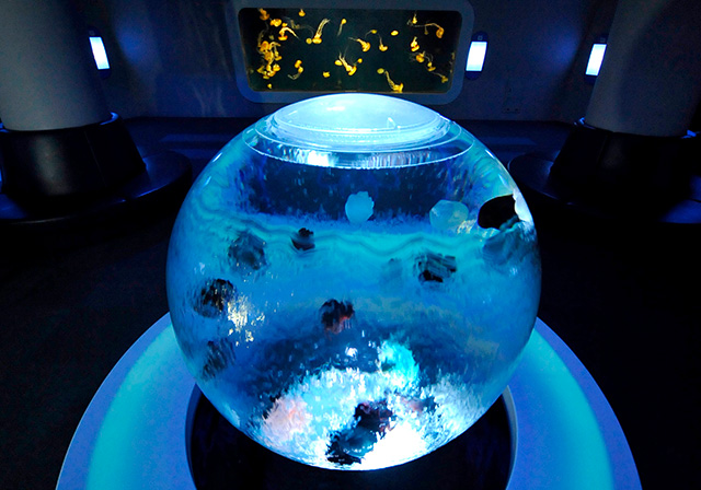 クラゲプラネット(海月の惑星)/新江ノ島水族館(神奈川県/藤沢市)
