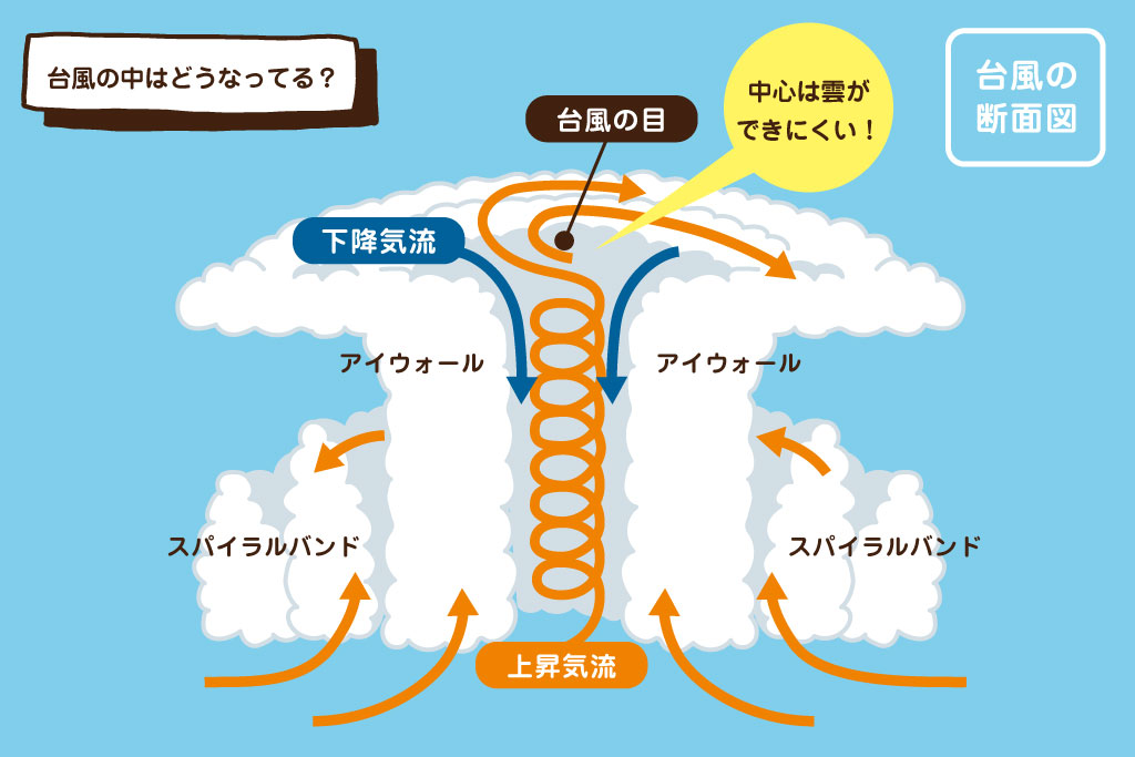 台風の断面図