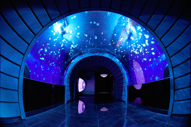 クラゲトンネル/サンシャイン水族館(東京都/豊島区)