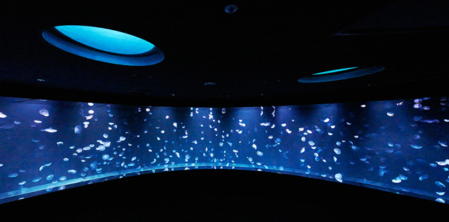 横幅約14mの水槽にミズクラゲが漂うクラゲパノラマ/サンシャイン水族館(東京都/豊島区)