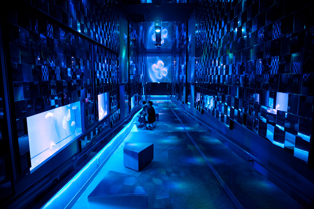 幻想的な万華鏡トンネル/すみだ水族館(東京都/墨田区)