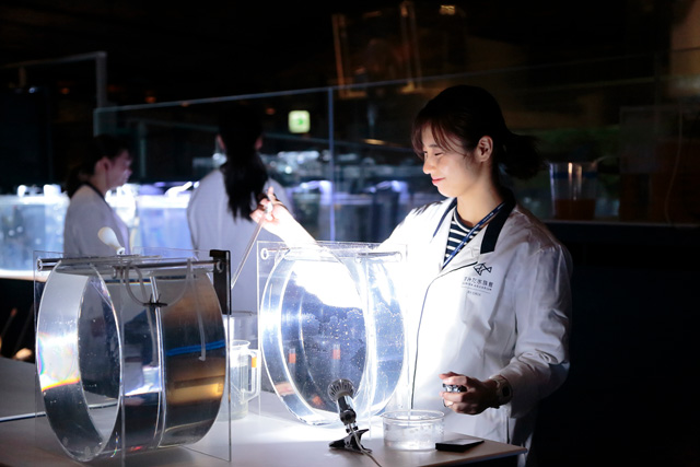 クラゲを飼育している様子などを見られるアクアベースのラボ/すみだ水族館(東京都/墨田区)