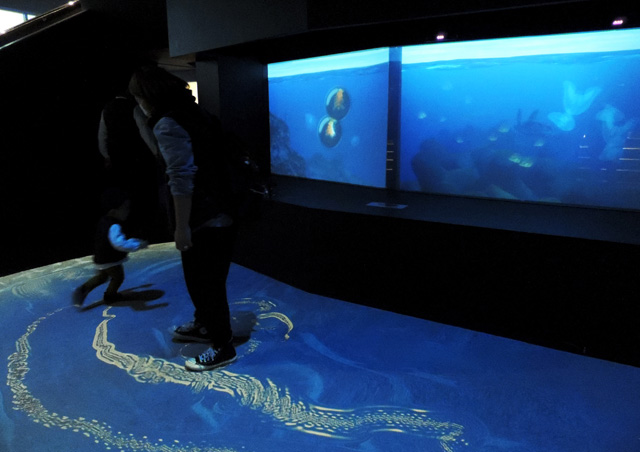 参加体験型の映像水槽ゾーン/鴨川シーワールド(千葉県/鴨川市)