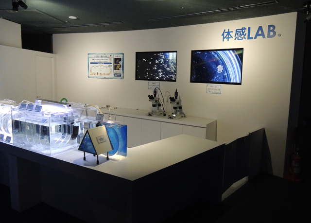 クラゲの赤ちゃんについてなどを解説してくれる「体感LAB.」/横浜・八景島シーパラダイス(神奈川県/横浜市)