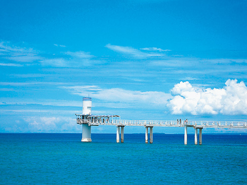 ブセナ海中公園／海中展望塔（沖縄県／名護市）