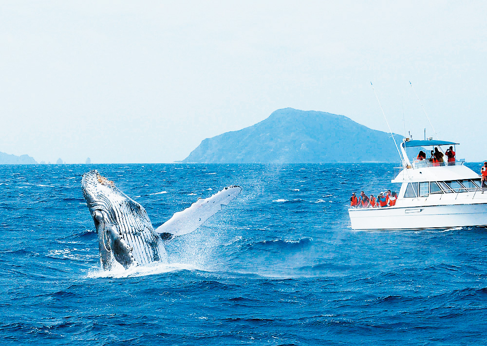 みーばるマリンセンター（沖縄県／南城市）