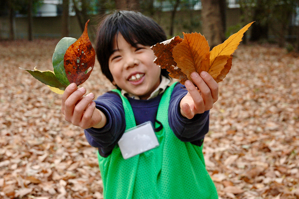 ネイチャーゲーム秋