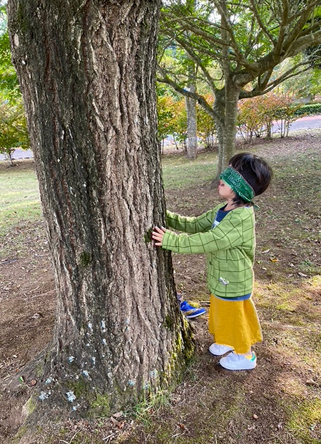 ネイチャーゲーム秋