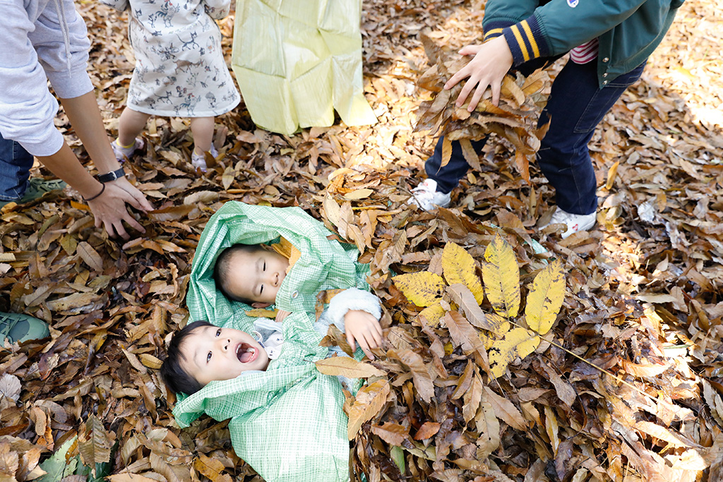 ネイチャーゲーム秋