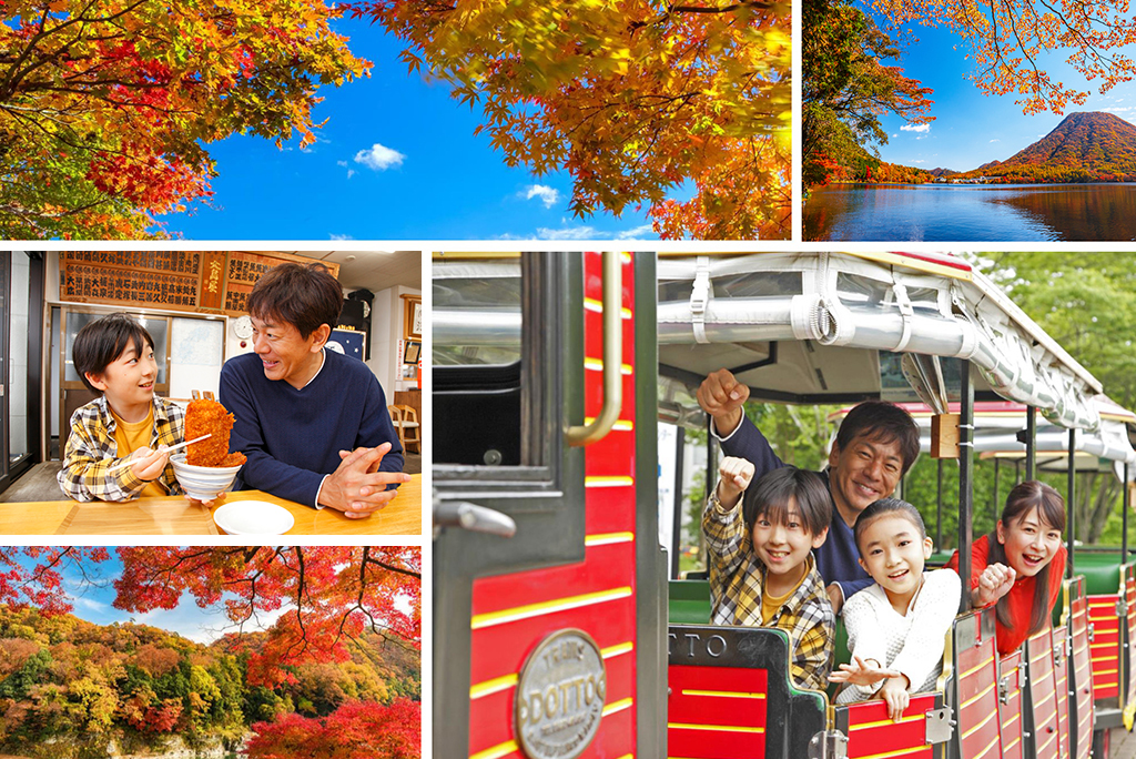 この秋、家族で行きたい！都心から約2時間の関東近郊紅葉狩りドライブ
