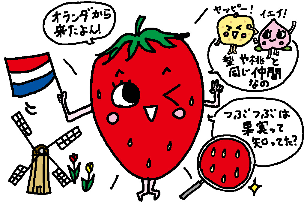 栃木県の特産品「いちご」