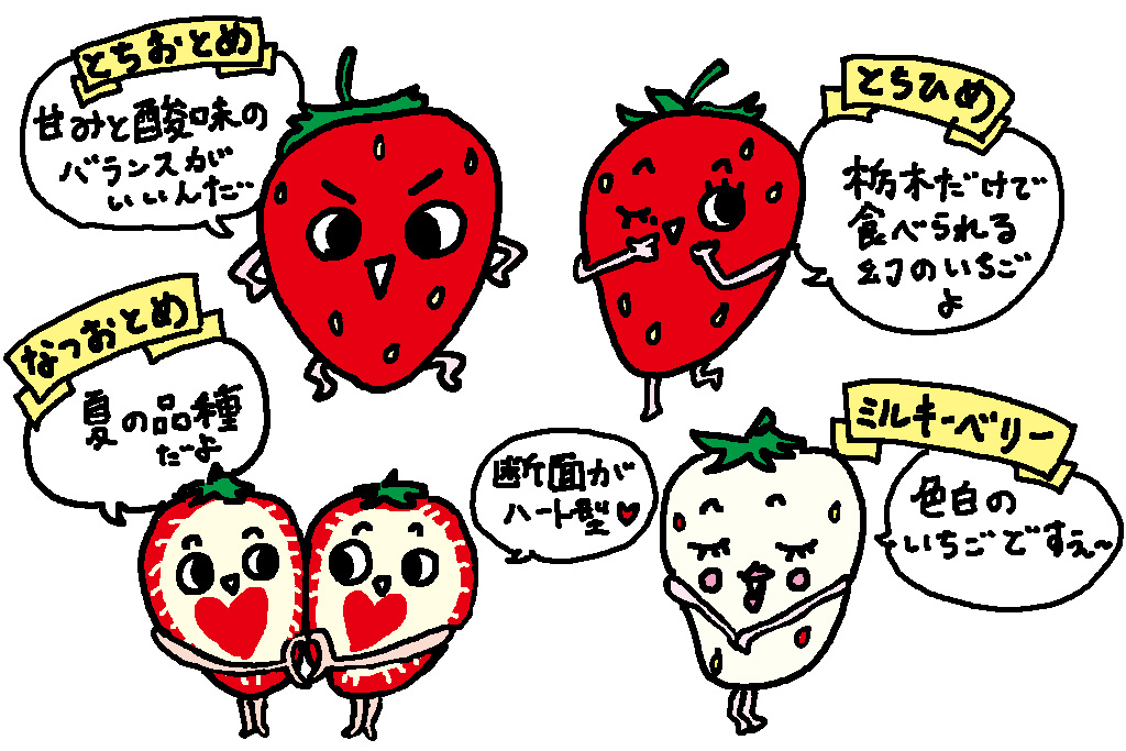 栃木県の特産品「いちご」