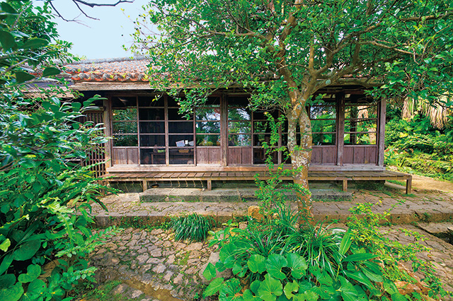 しむじょう（沖縄県／那覇市）