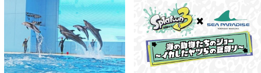 「海の動物たちのショー」/横浜・八景島シーパラダイス（神奈川県/横浜市）