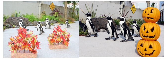 「ケープペンギンのパレード」/横浜・八景島シーパラダイス（神奈川県/横浜市）