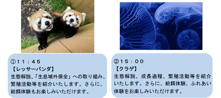 「SDGsシアター ～シーパラのこどもたち～」/横浜・八景島シーパラダイス（神奈川県/横浜市）