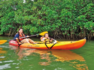 沖縄ジャングル体験7選！やんばるの森や鍾乳洞を探検、カヤックでマングローブに接近