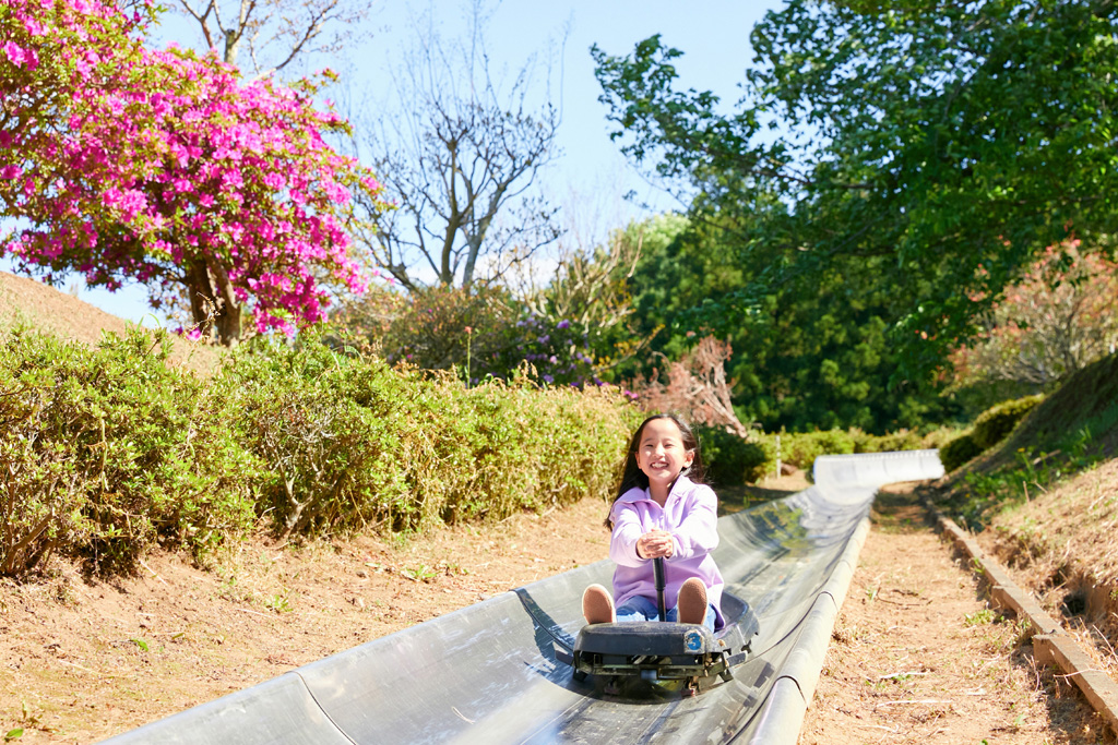 スポーツスライド/茨城県フラワーパーク(茨城県/石岡市)