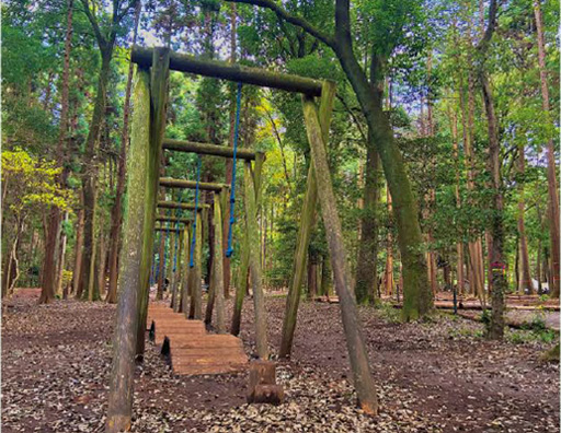 猿のつた渡り／手賀の丘公園（千葉県柏市）